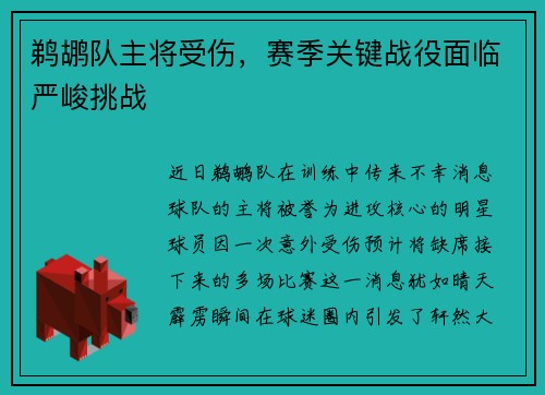 鹈鹕队主将受伤，赛季关键战役面临严峻挑战
