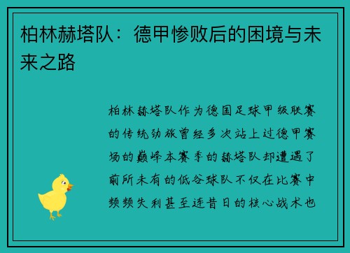 柏林赫塔队：德甲惨败后的困境与未来之路
