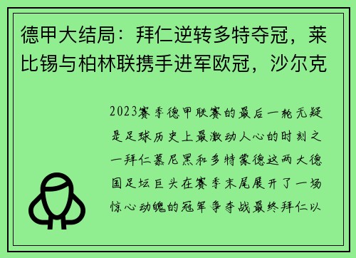 德甲大结局：拜仁逆转多特夺冠，莱比锡与柏林联携手进军欧冠，沙尔克遗憾降级