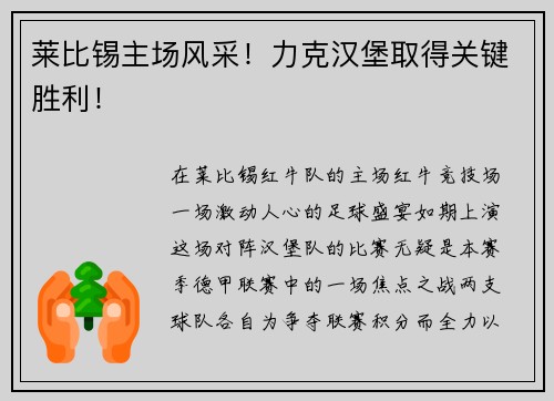 莱比锡主场风采！力克汉堡取得关键胜利！