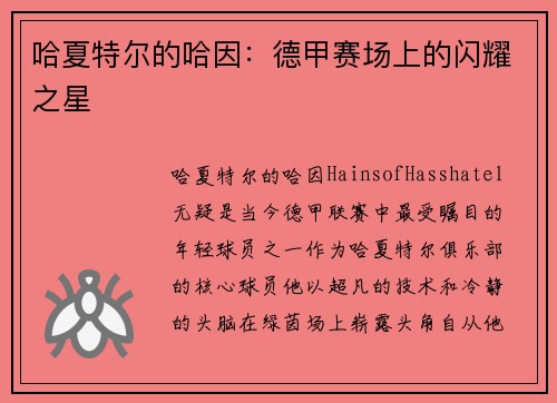 哈夏特尔的哈因：德甲赛场上的闪耀之星