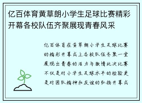 亿百体育黄草朗小学生足球比赛精彩开幕各校队伍齐聚展现青春风采